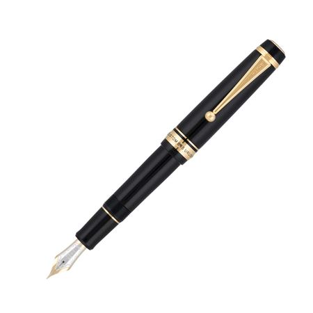Pilot Custom 845 Fountain Pen