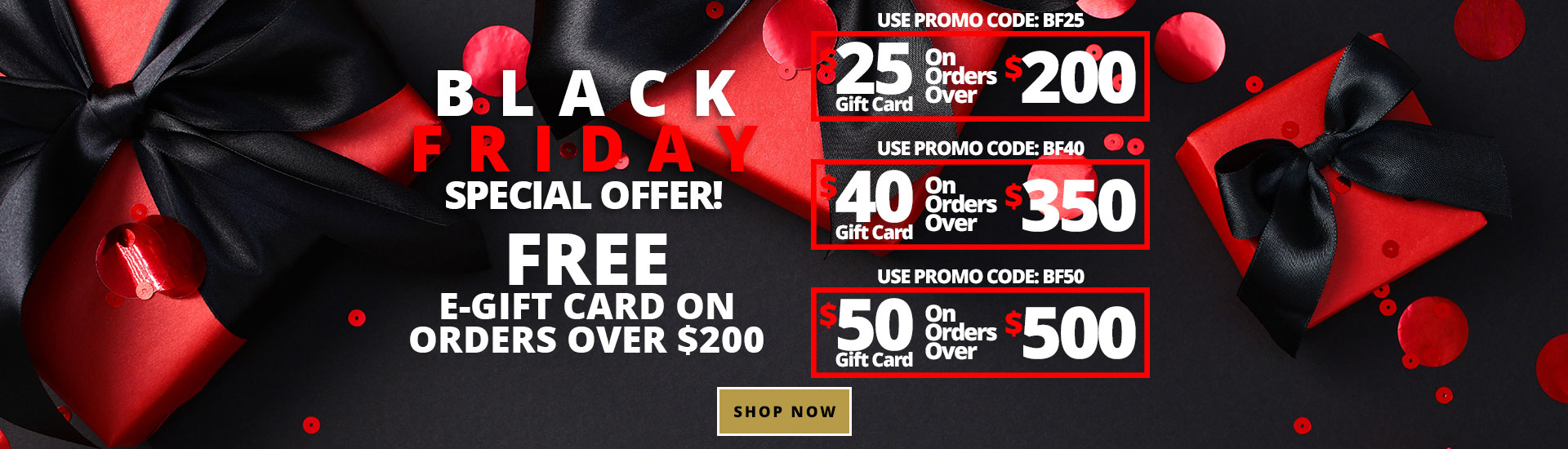 Black Friday Special Offer