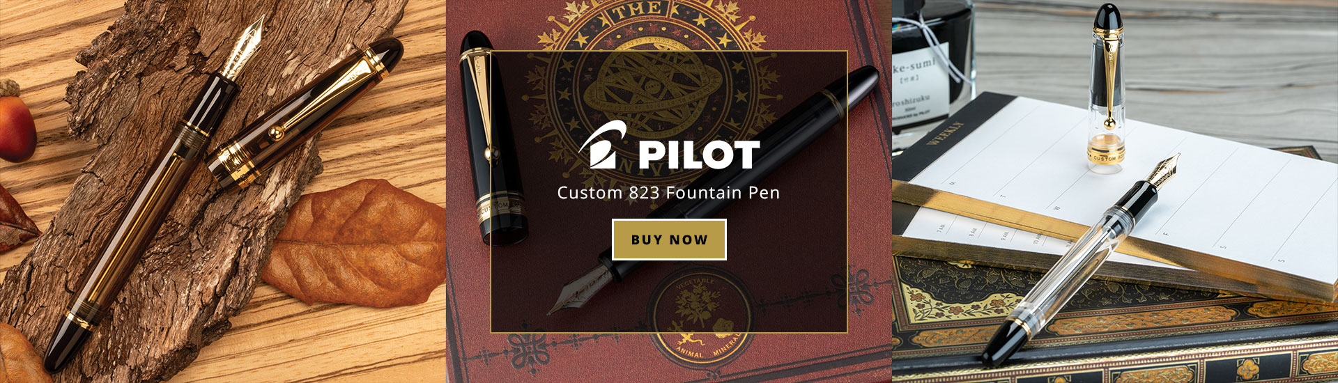 Pilot Custom 823 Fountain Pen