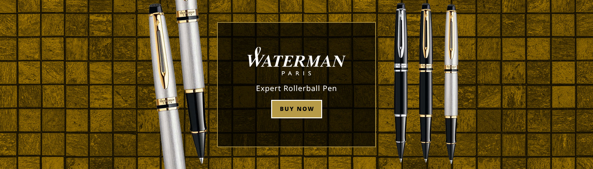 Waterman Expert Rollerball Pen